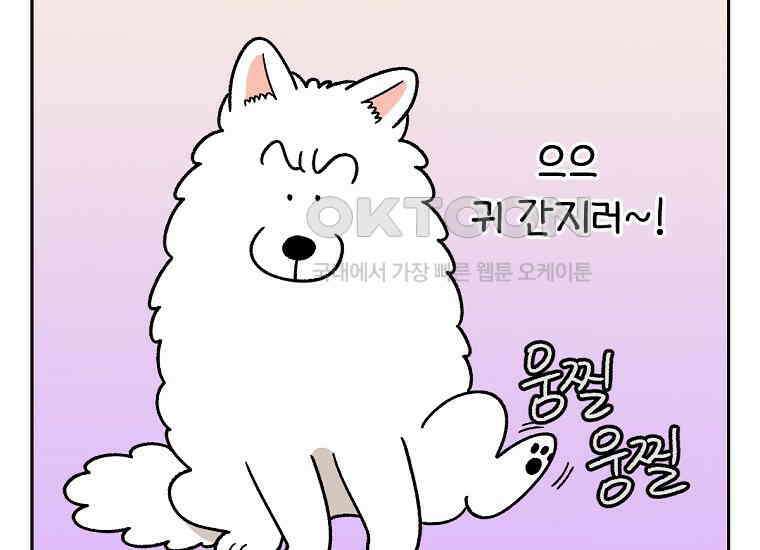 극한견주 시즌2 29화 말을 잘 듣는 건지 안 듣는 건지 모르겠는 개 32