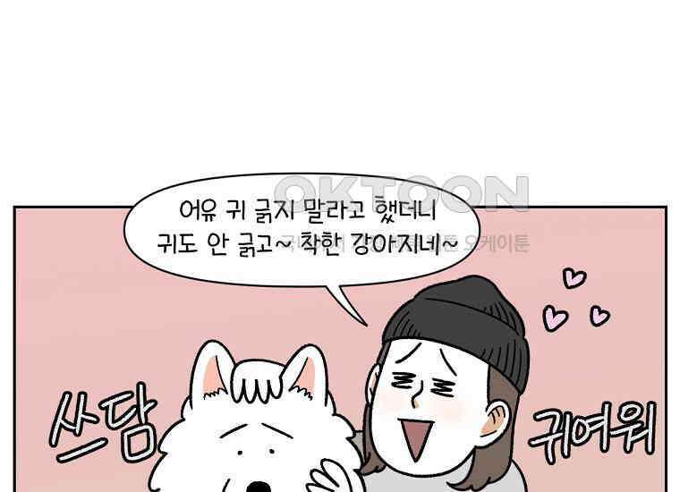 극한견주 시즌2 29화 말을 잘 듣는 건지 안 듣는 건지 모르겠는 개 35