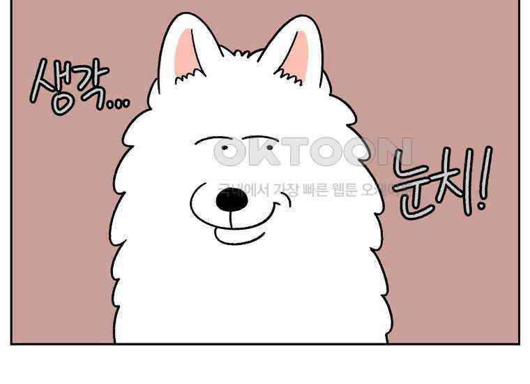 극한견주 시즌2 29화 말을 잘 듣는 건지 안 듣는 건지 모르겠는 개 37