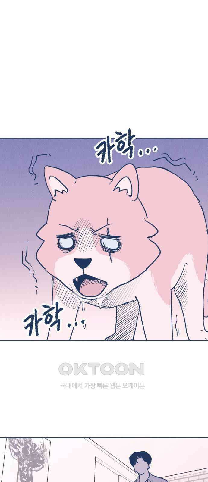 반려짐승 37화 1