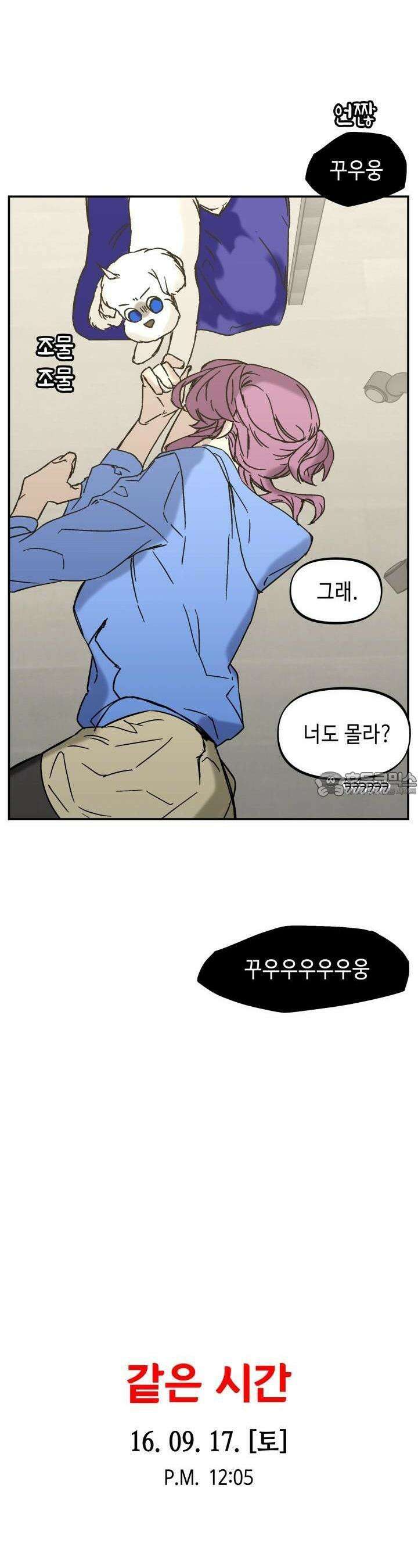개의 눈으로 보라 19화 21