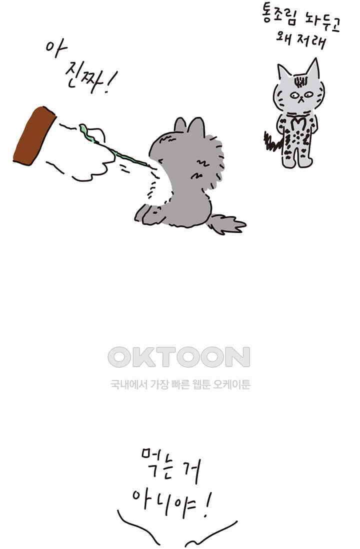 은동스+옹동스 은동은동 은동구리 130화． 내셔널 지오그래픽 5