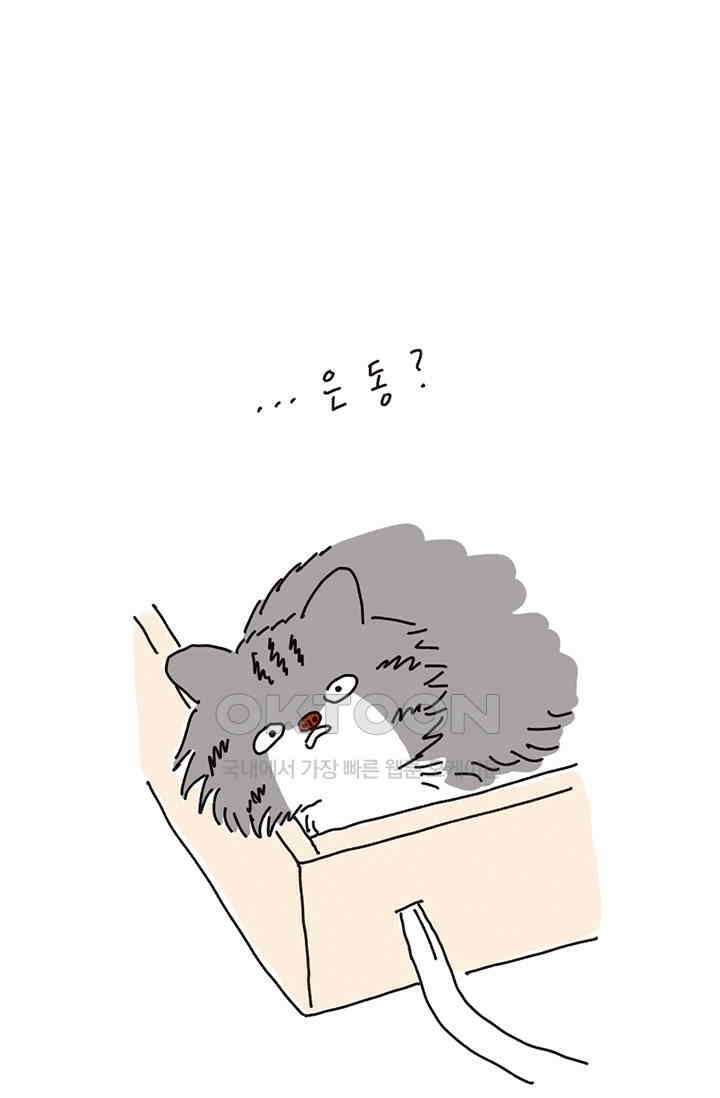 은동스+옹동스 은동스 210화． 은동의 놀이공원 10