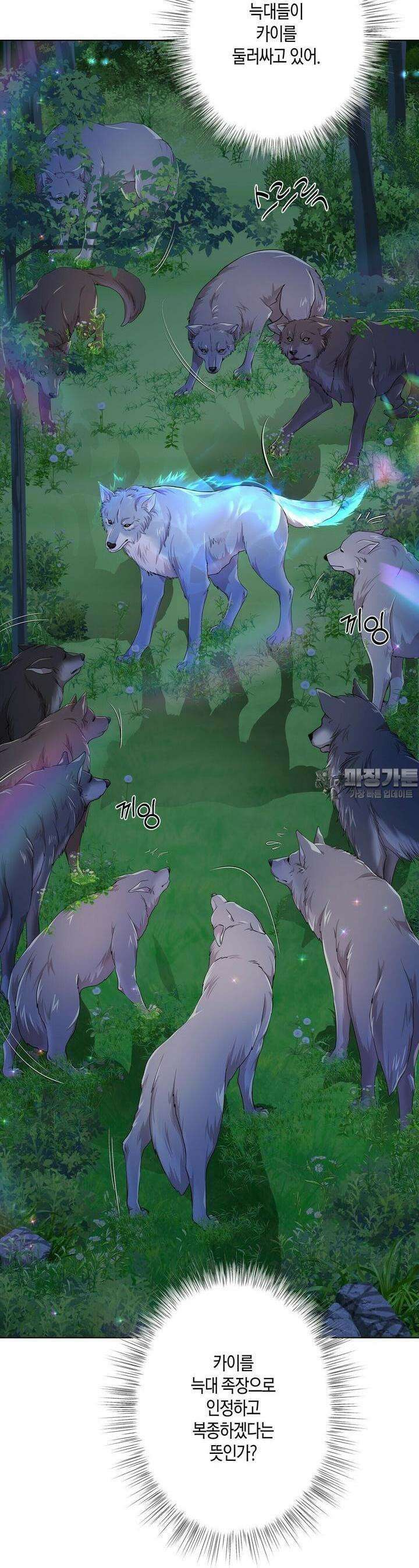 푸른 늑대의 밤 66화 4