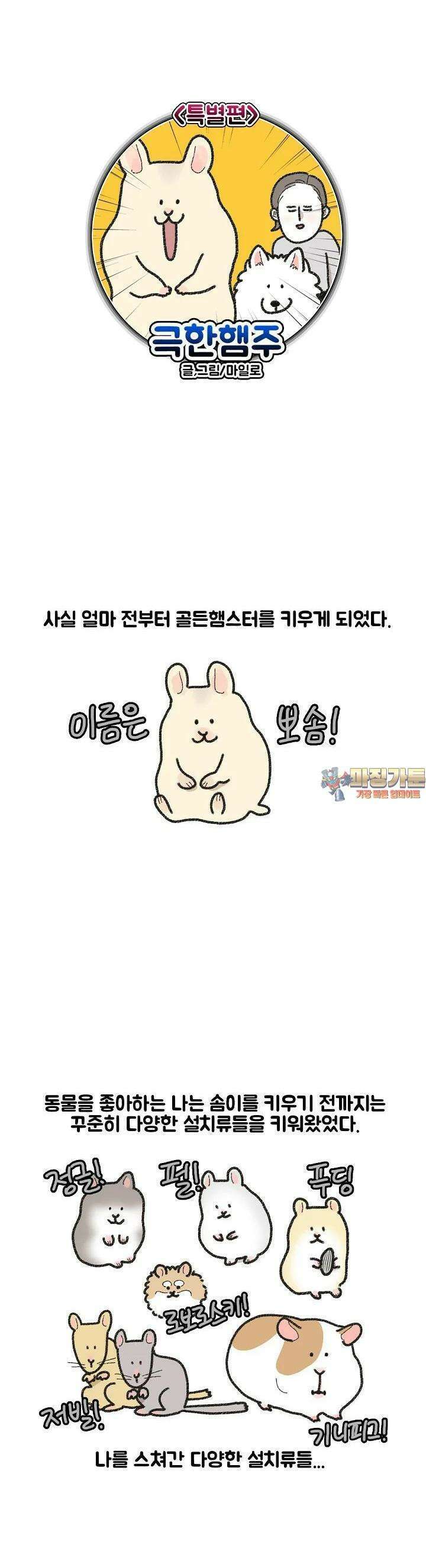극한견주 61화 극한햄주 1 1