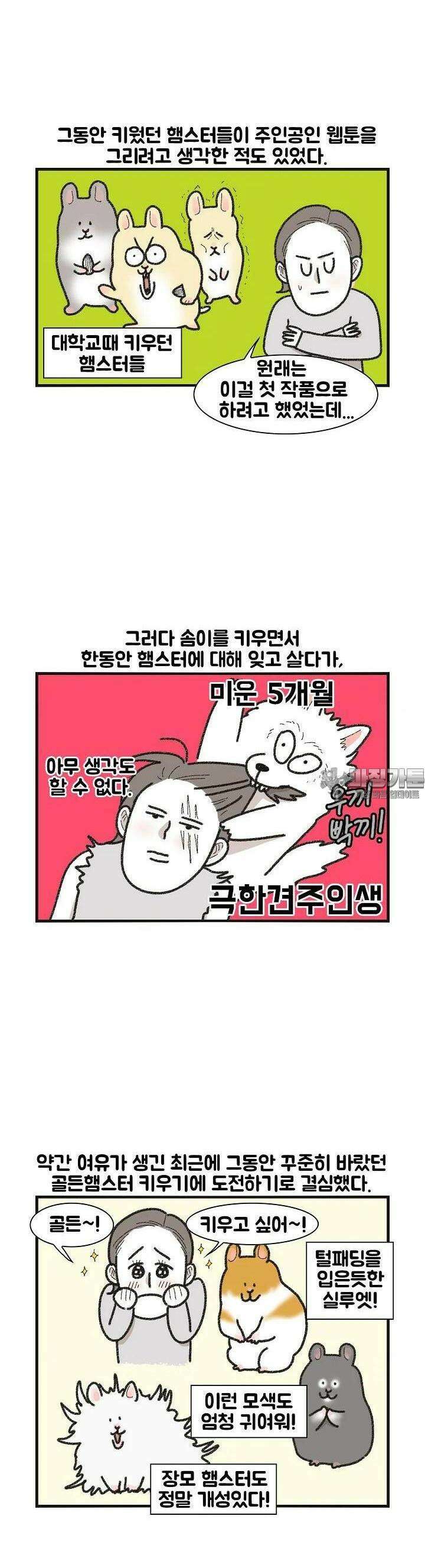 극한견주 61화 극한햄주 1 2