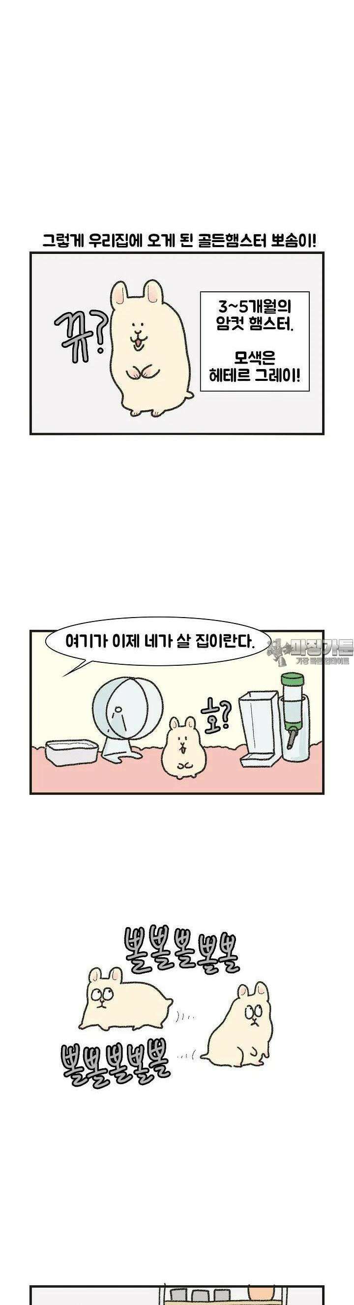 극한견주 61화 극한햄주 1 4