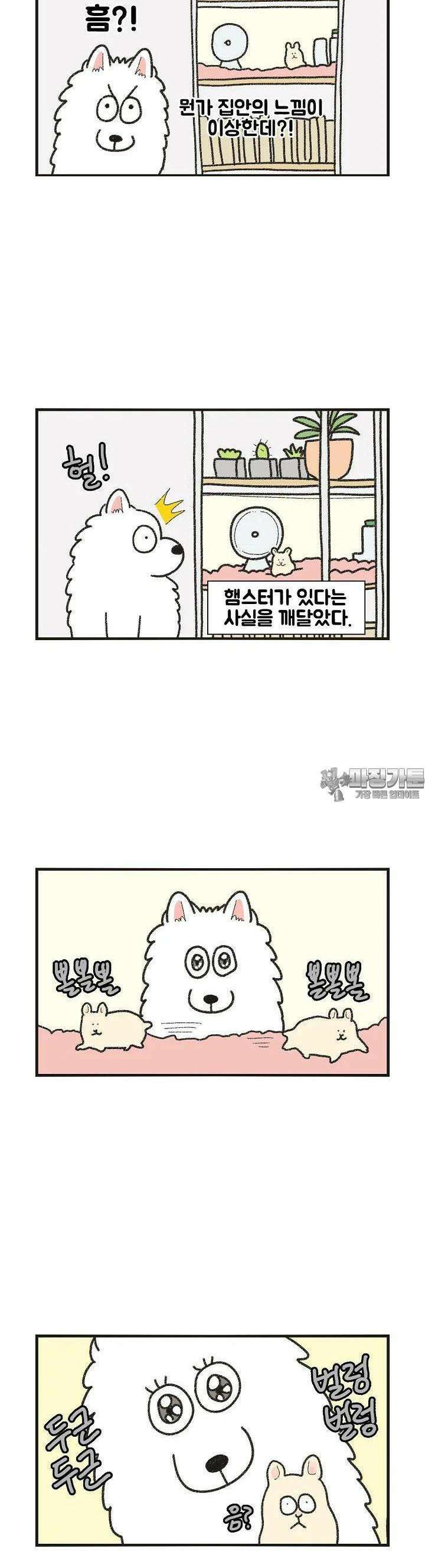 극한견주 61화 극한햄주 1 5