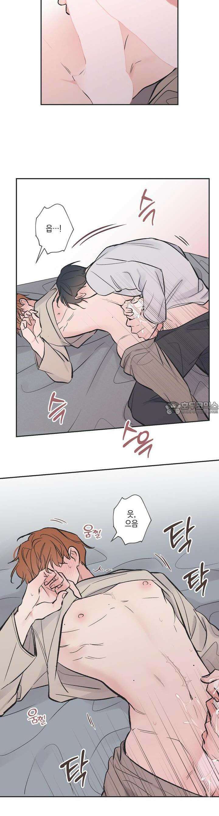 별과 별 사이 혜성과 태양 사이 17화 10