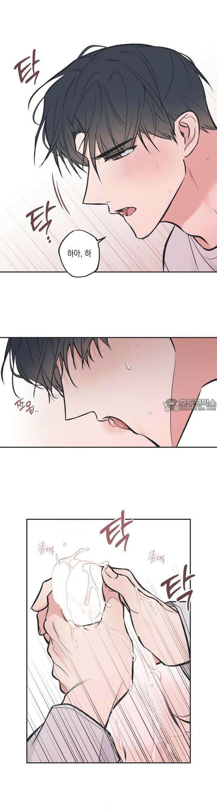 별과 별 사이 혜성과 태양 사이 17화 11