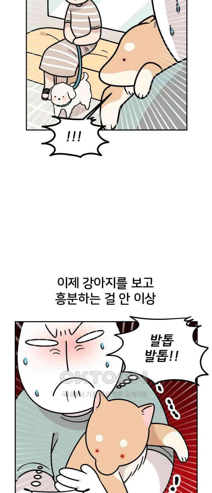 시바, 만만치 않다 12화 7