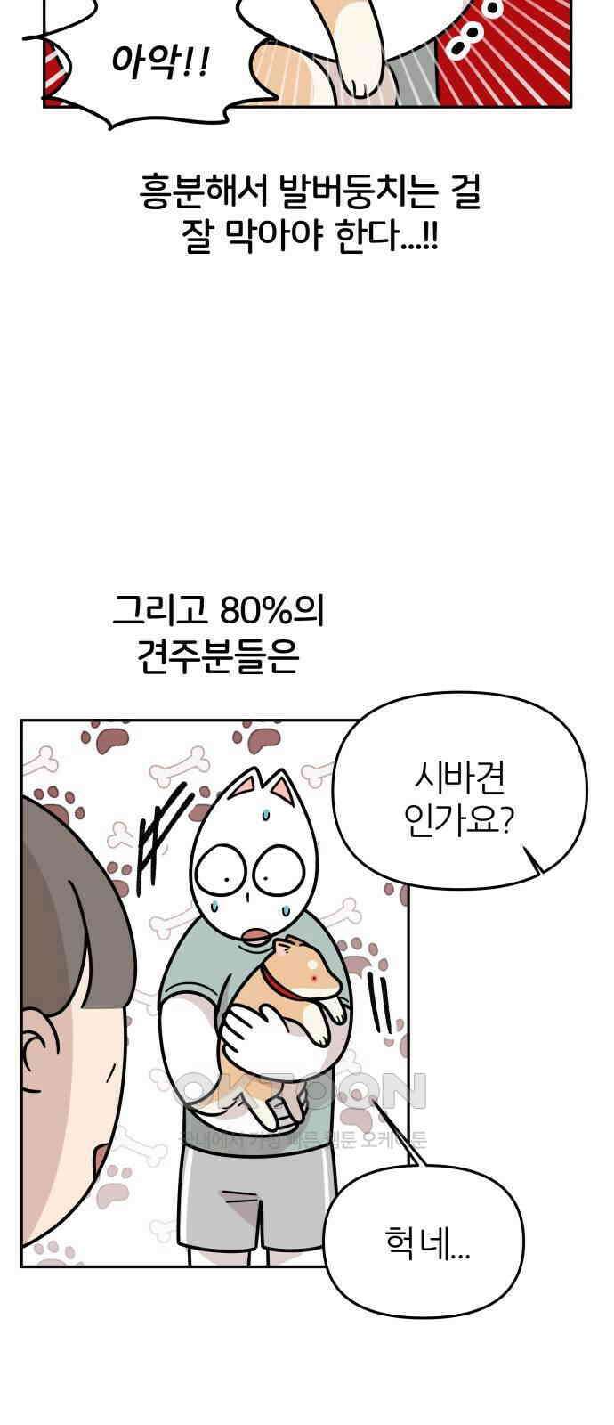 시바, 만만치 않다 12화 8