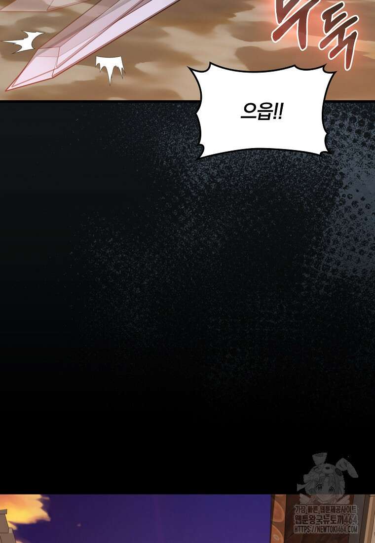만렙 플레이어 79화 10