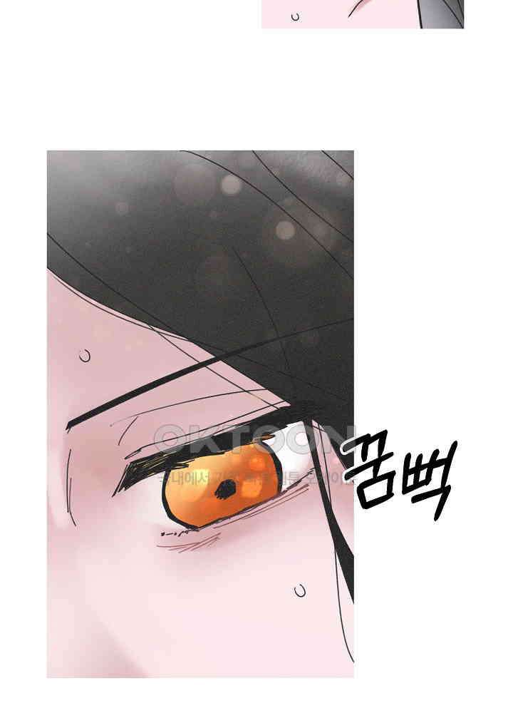 네가 감히 22화 53