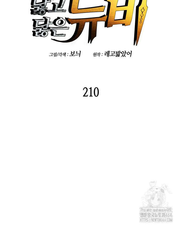 닳고닳은 뉴비 210화 17