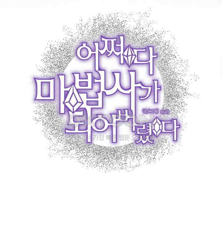 어쩌다 마법사가 되어버렸다 33 2