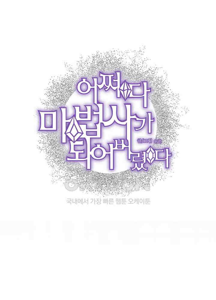어쩌다 마법사가 되어버렸다 62 3