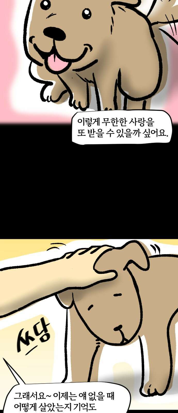 개집사 31화 귀엽다고 말해 16