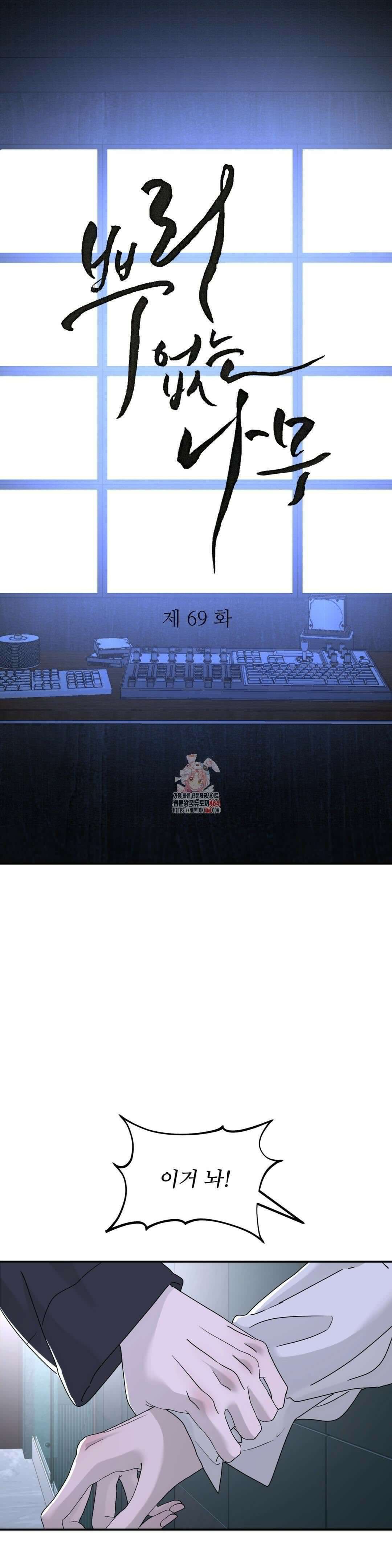 뿌리 없는 나무 69화 1