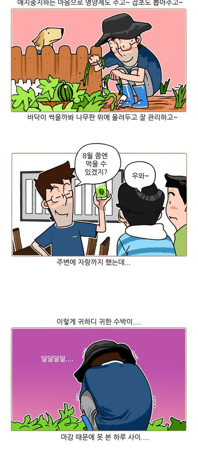 패밀리 사이즈 시즌2 199화 3