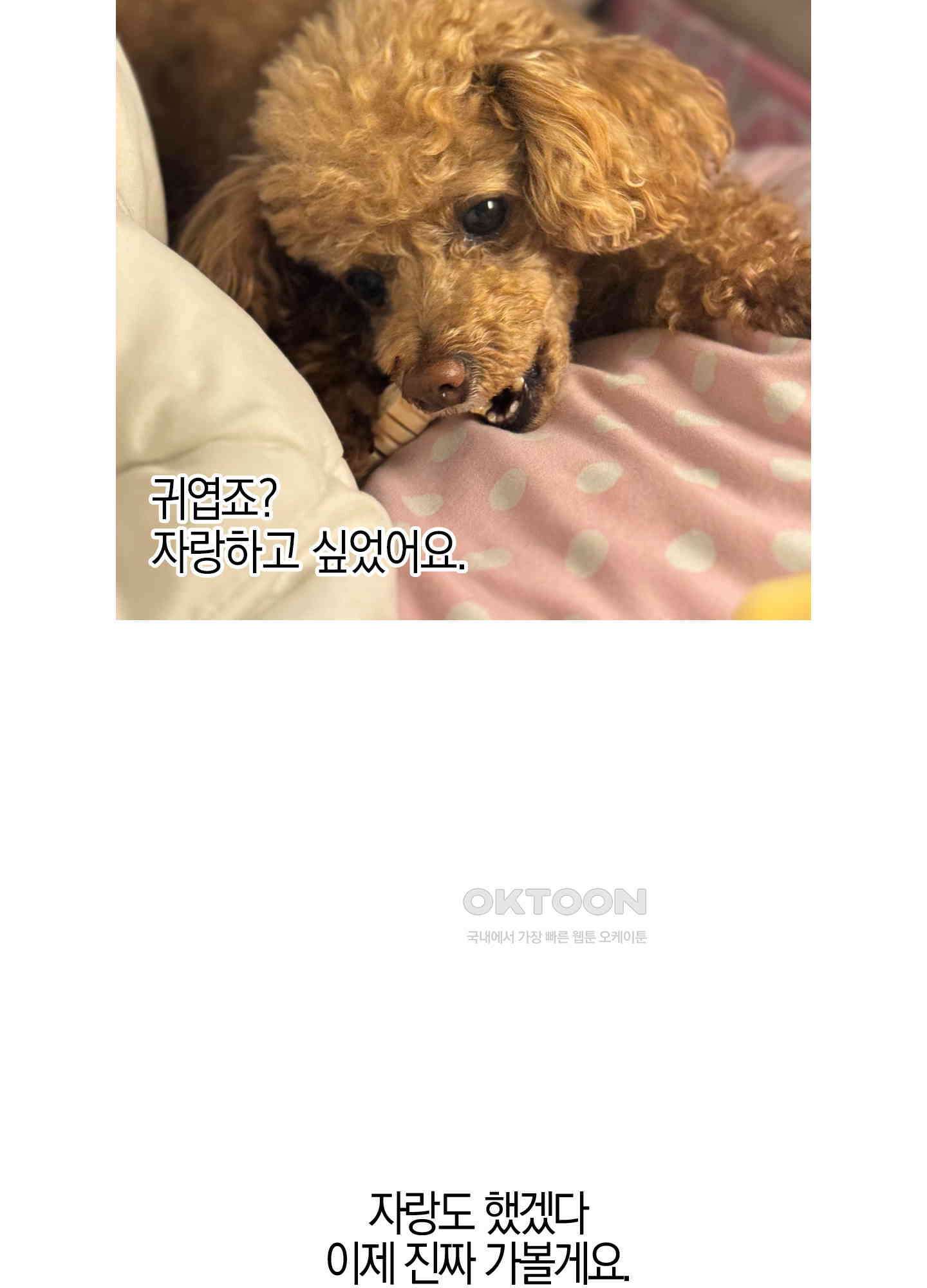 가지하러 오셨어요? [시즌1 후기] 18