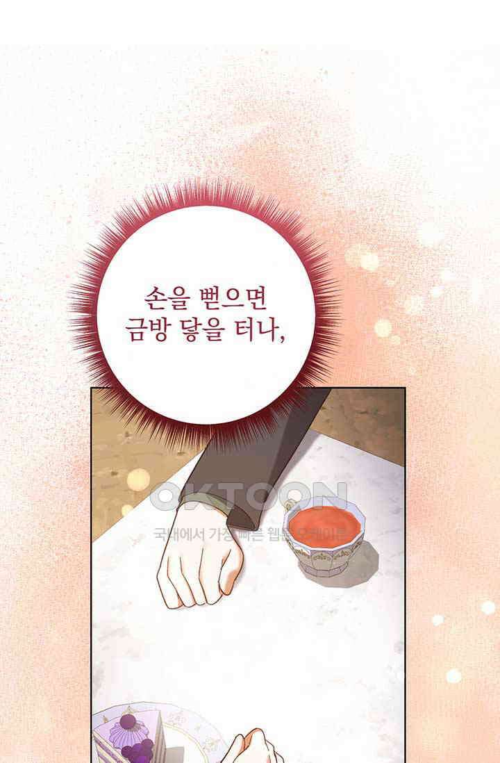 한 줄짜리 영애였을 터 206화 1