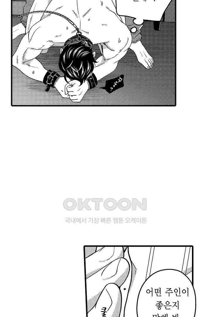 양키 군은 개가 되고 싶어 26화 3