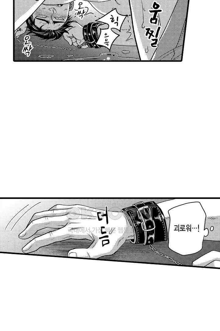 양키 군은 개가 되고 싶어 26화 10