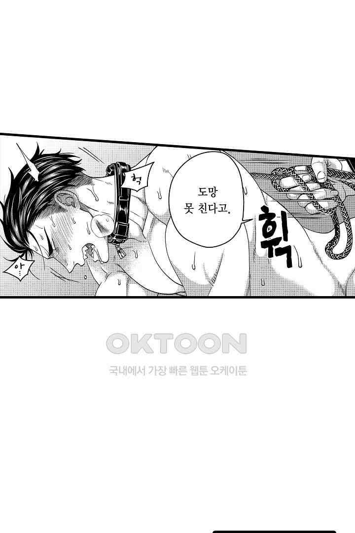 양키 군은 개가 되고 싶어 26화 11