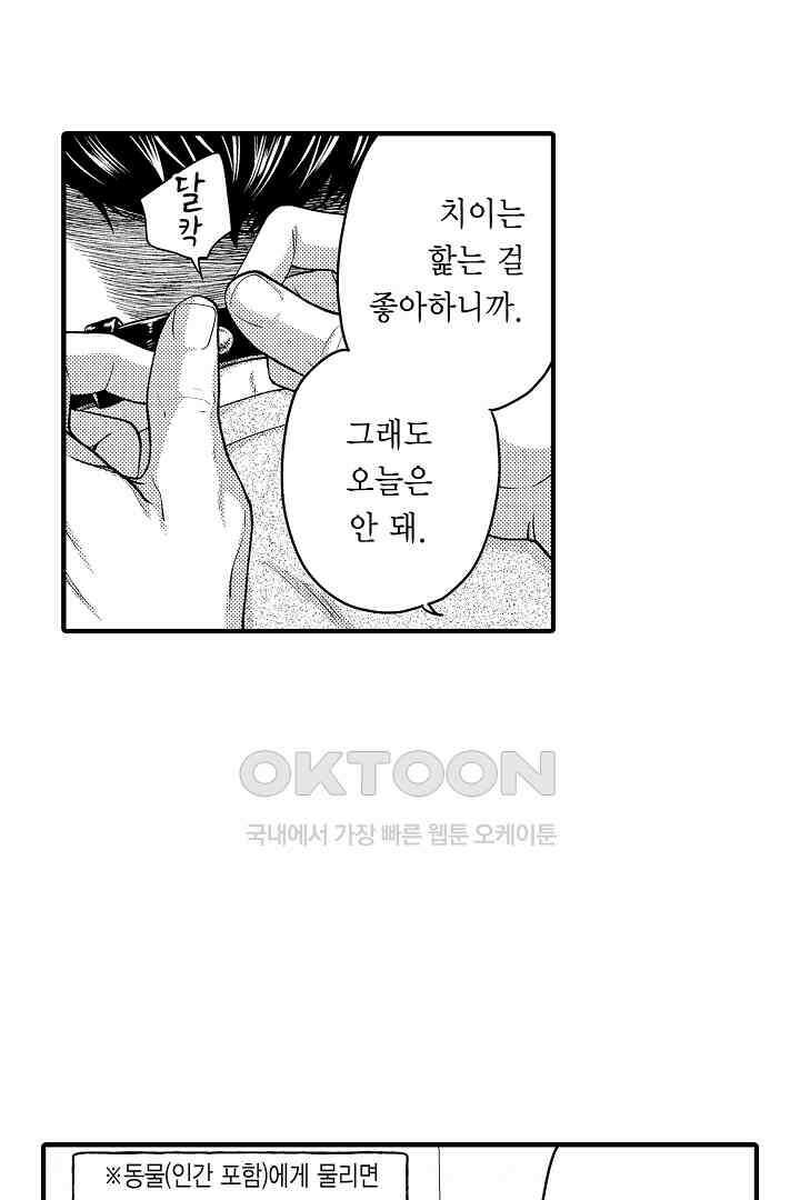 양키 군은 개가 되고 싶어 35화 4