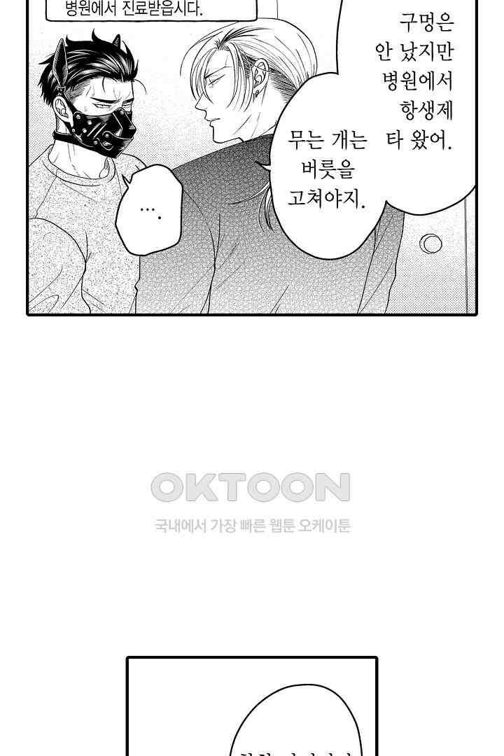 양키 군은 개가 되고 싶어 35화 5