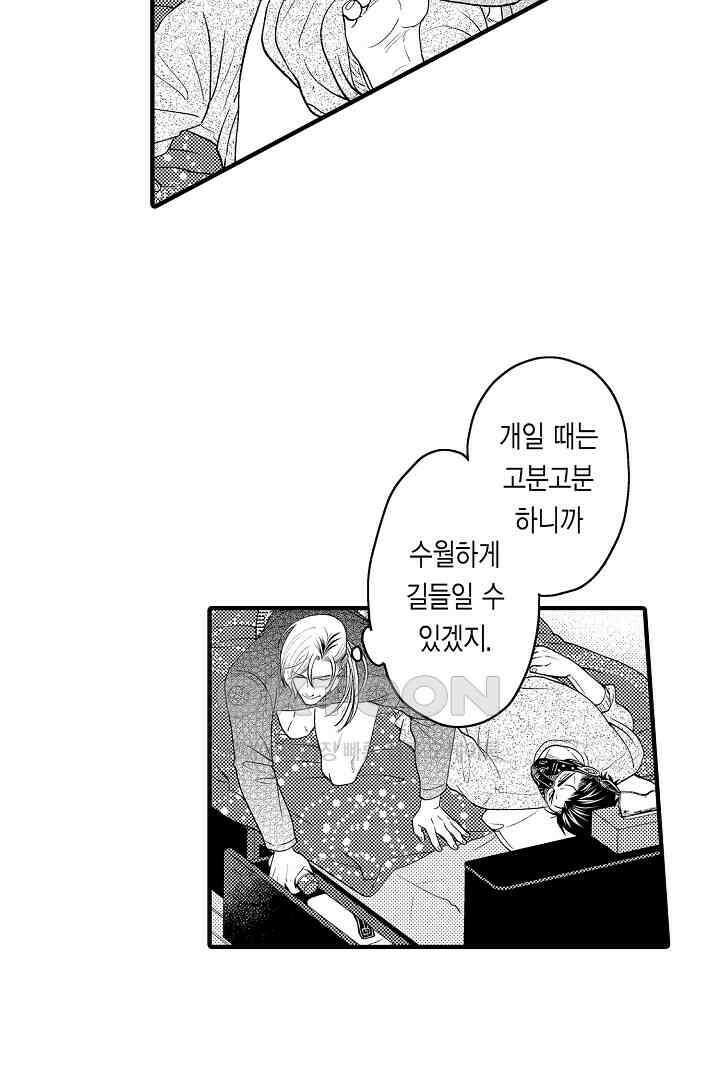 양키 군은 개가 되고 싶어 35화 10