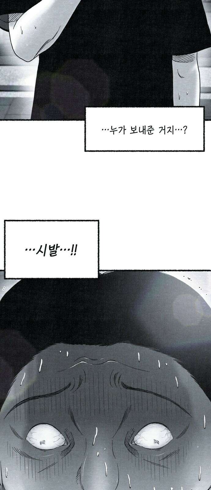벌집 48화 2