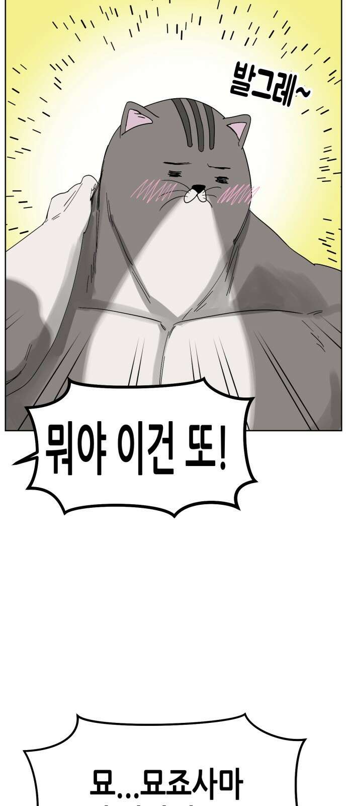 괴양이 68화 훅벡요리사 下 64
