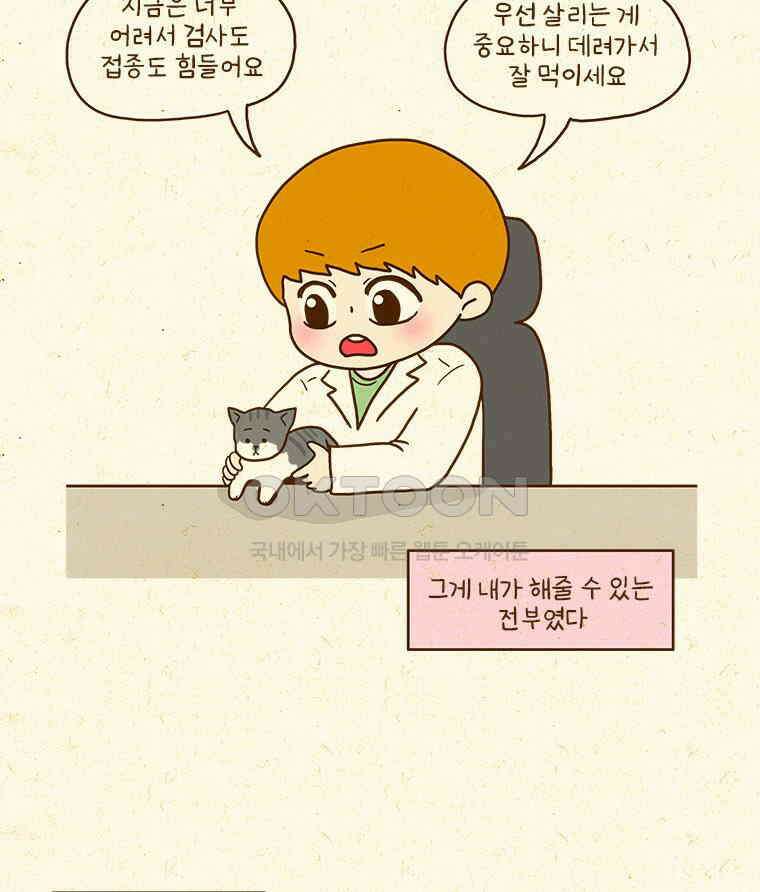 반지하셋방 407화 진정한 독립 5