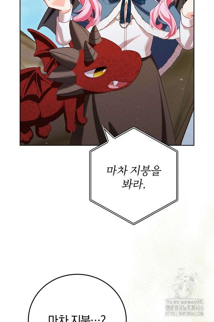저주받은 공작가의 안주인이 되어 버렸다 54화 17