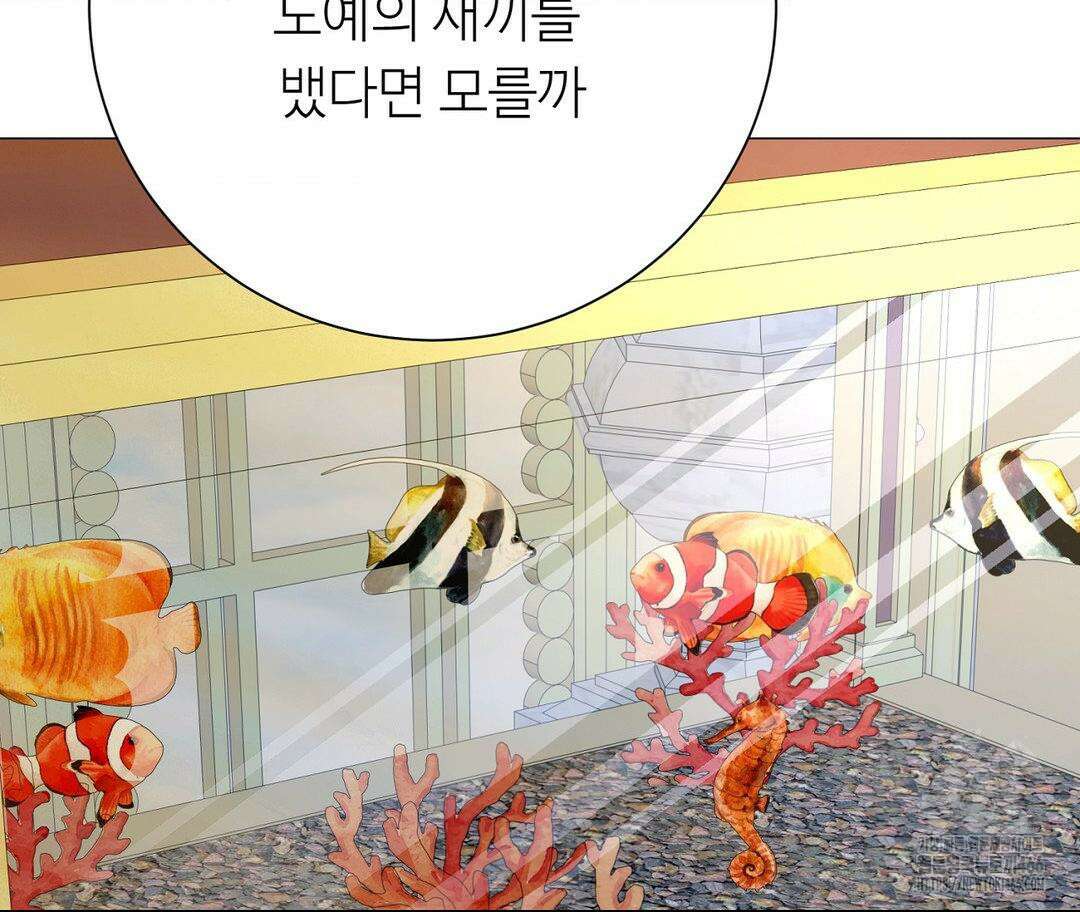 새비지 캐슬 48화 150