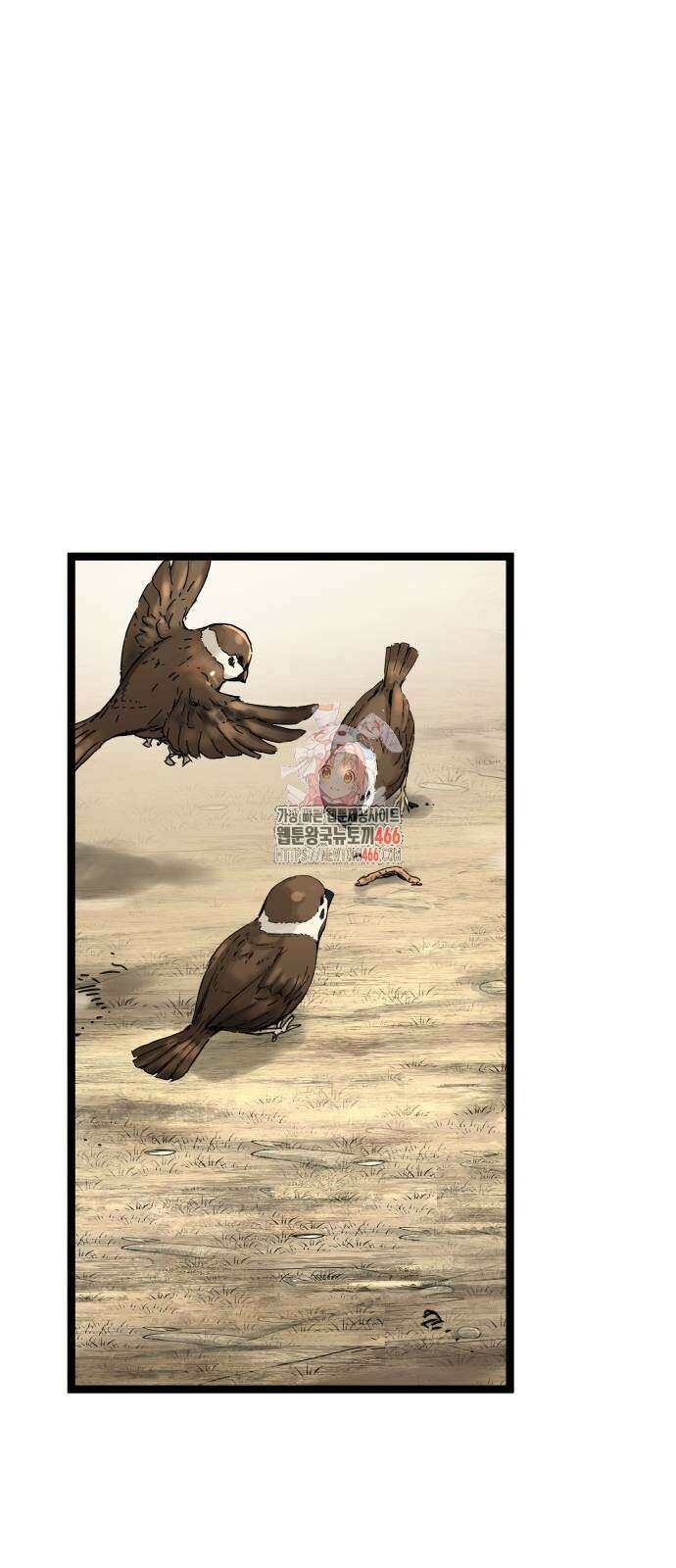 시한부 천재가 살아남는 법 14화 1
