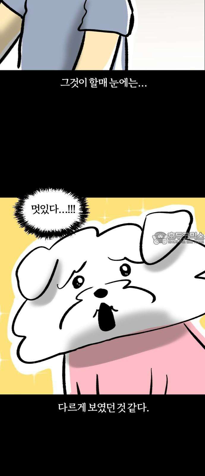 개집사 38화: 스토커 15