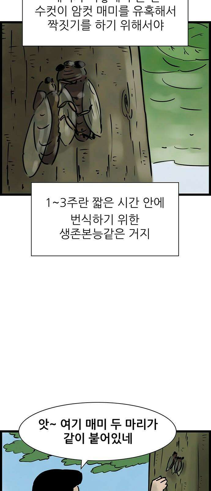 방치형 용사 키우기 24화 죽고 싶은 불멸의 소뼈왕 4