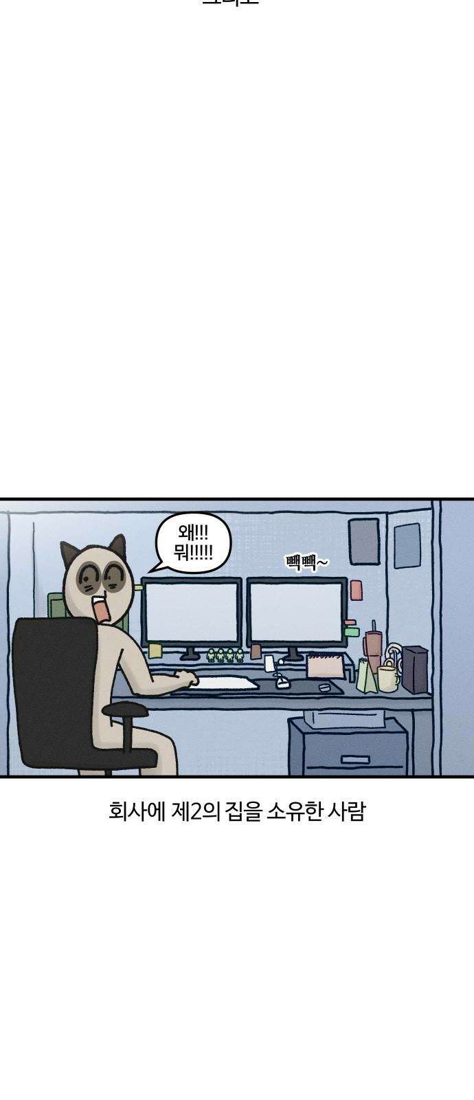 구야는 신입 40화 데스크테리어 4