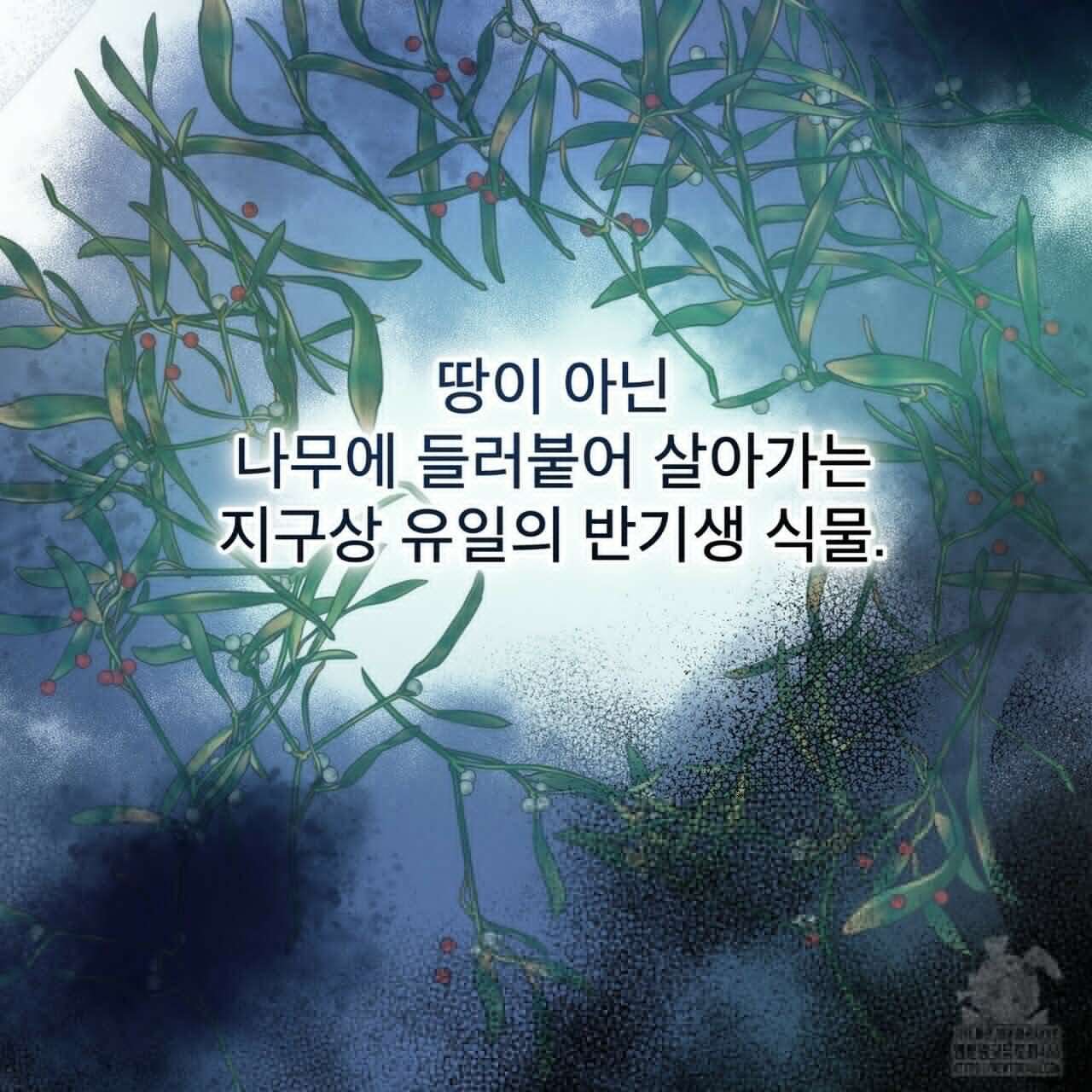 눈의 여왕 27화 9