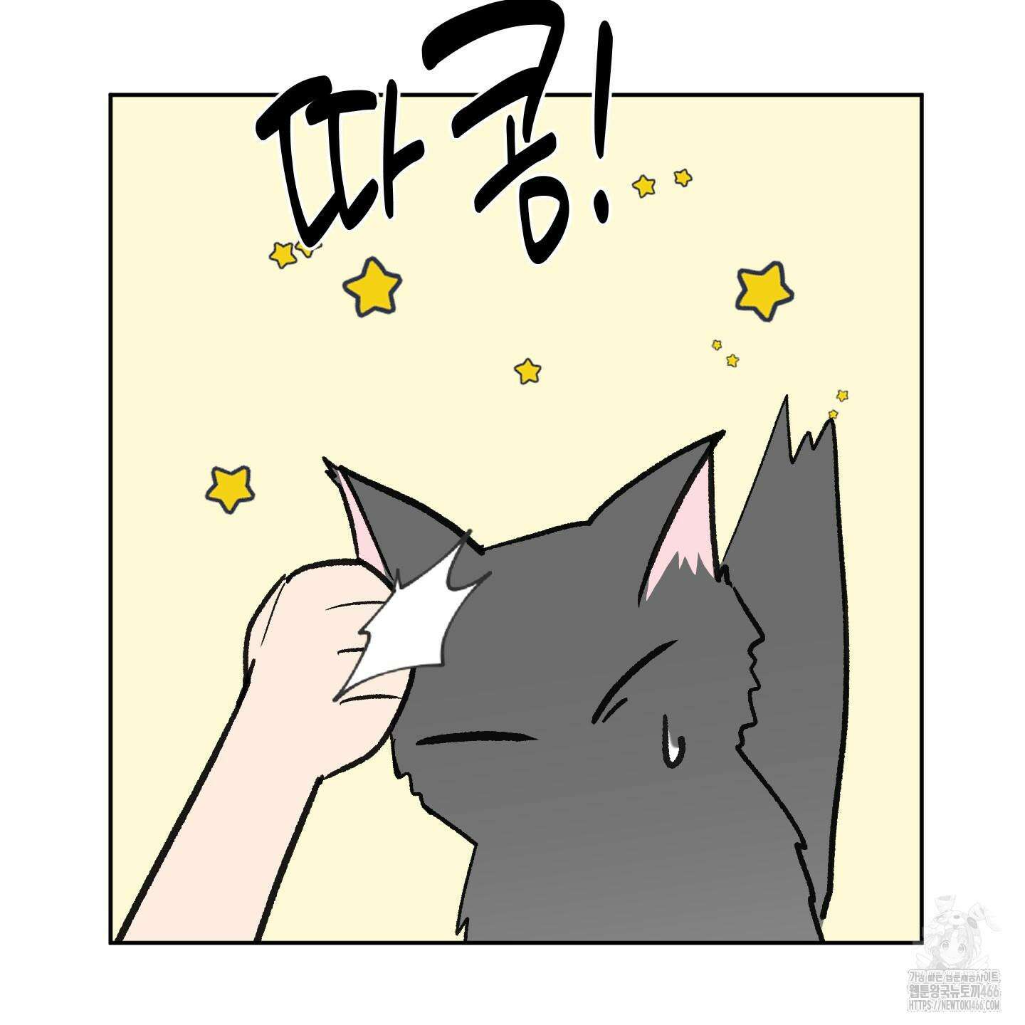 행방불명 로맨스 43화 44