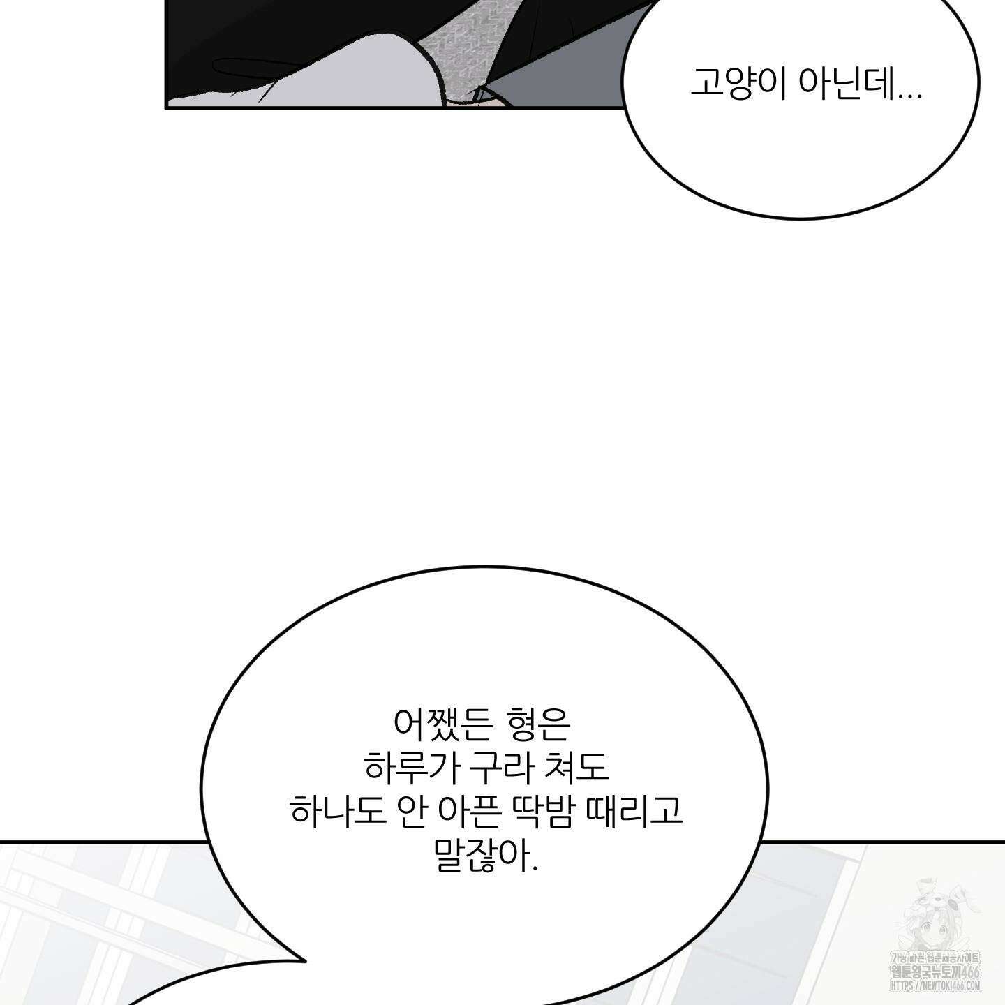 행방불명 로맨스 43화 50