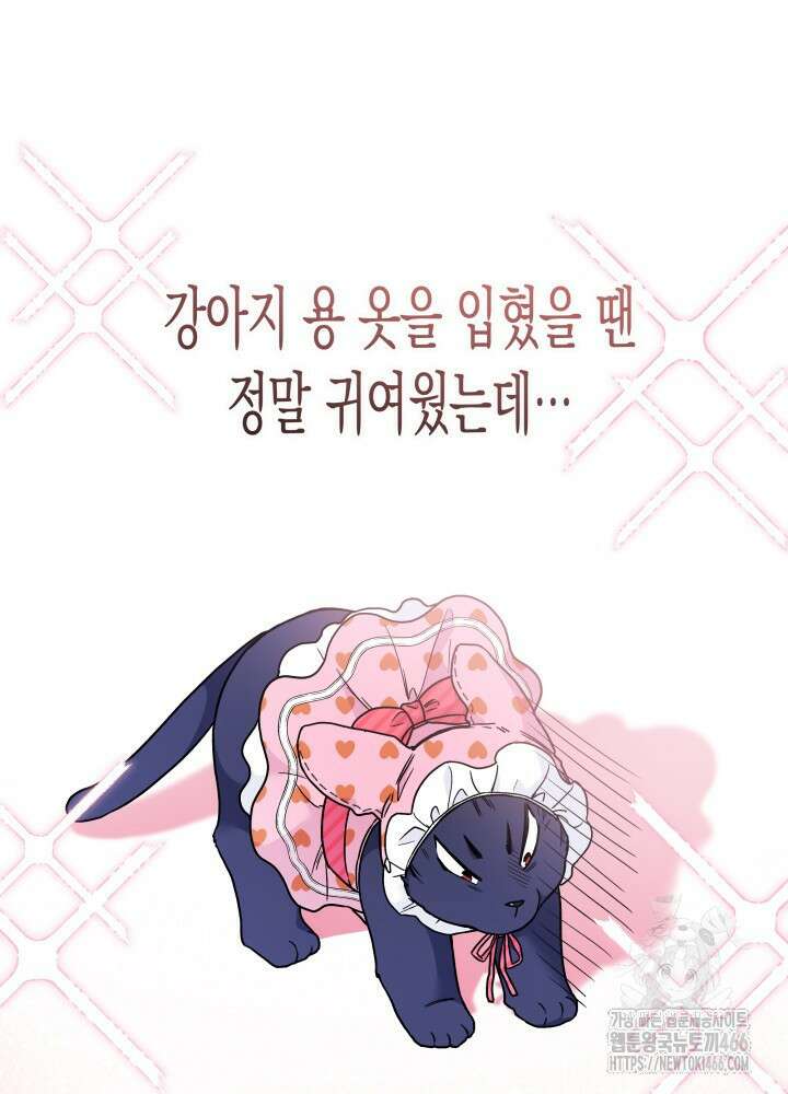 토끼와 흑표범의 공생관계 166화 (외전 16) 9