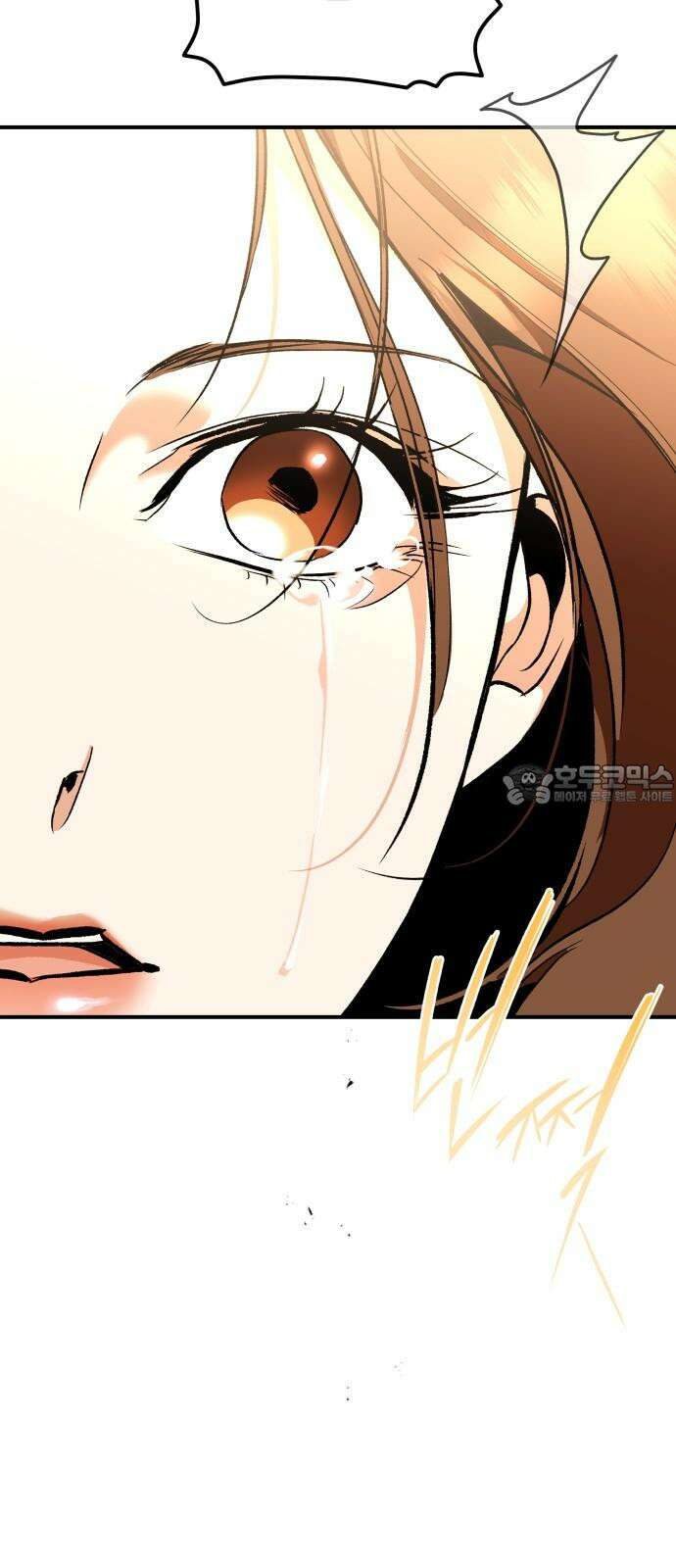 여신님의 호랑이 공략법 108화 : 파편 6