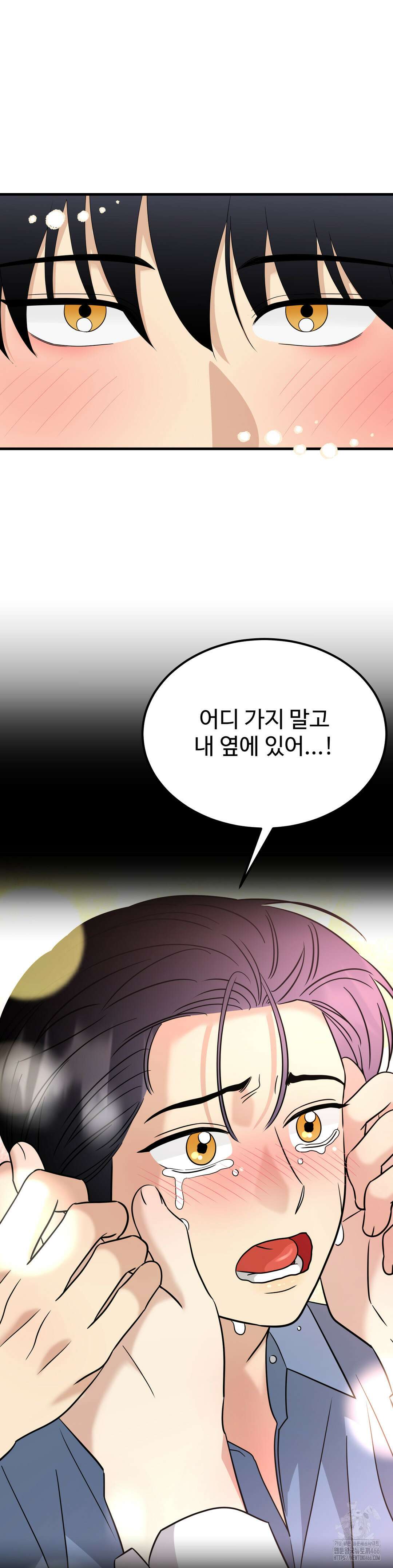 페어리 페어링 42화 17