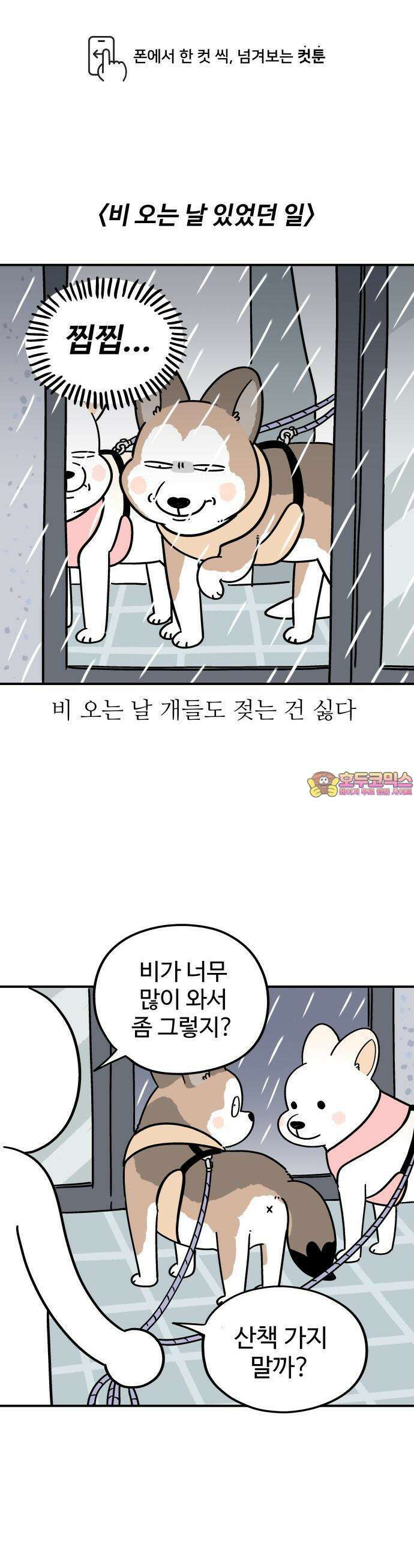 노곤하개 쇼츠 비 오는 날 있었던 일 1