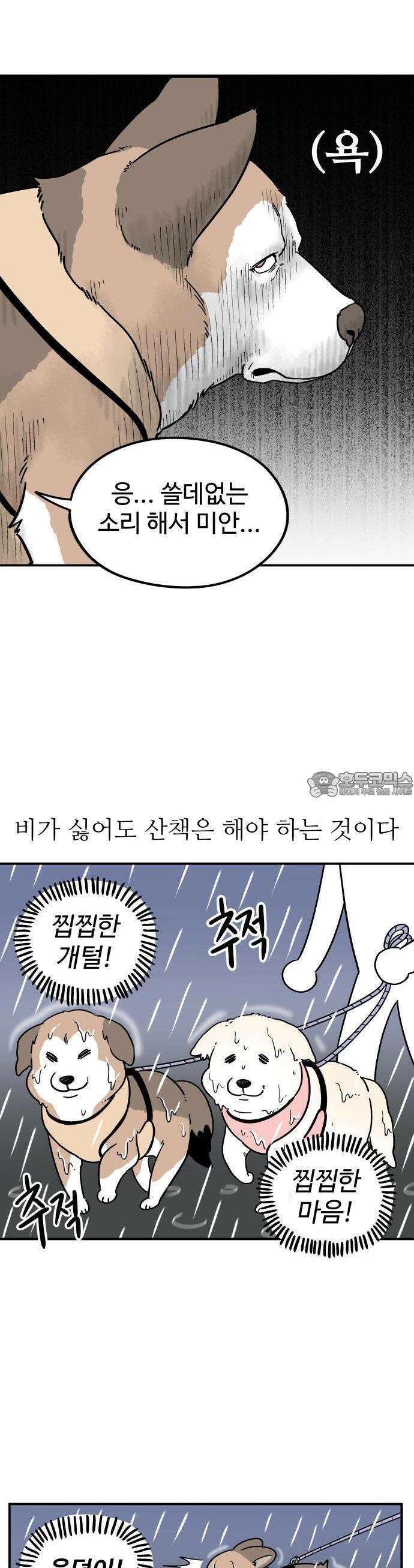 노곤하개 쇼츠 비 오는 날 있었던 일 2