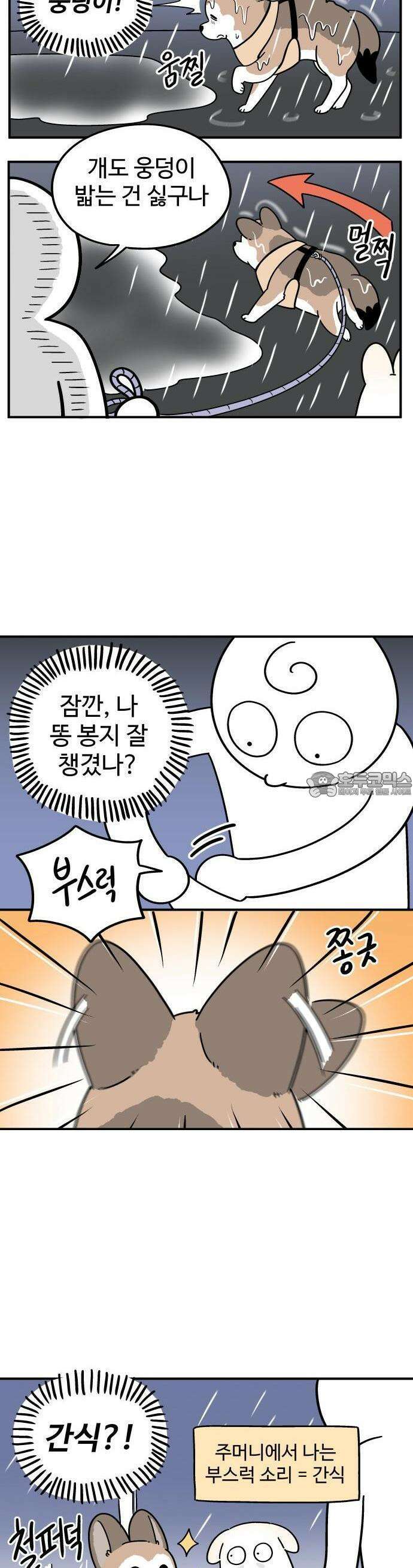 노곤하개 쇼츠 비 오는 날 있었던 일 3